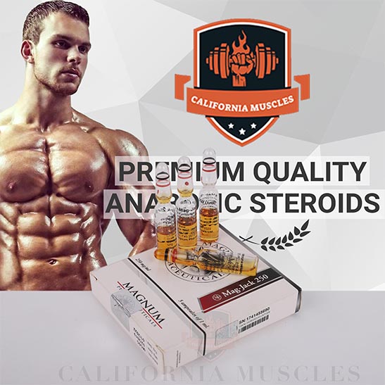 Magnum Mag-Jack 250 for sale in California