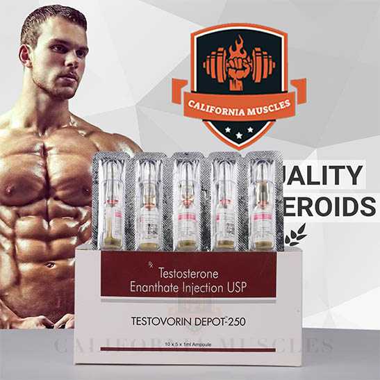 Testovorin Depot-250 for sale in California