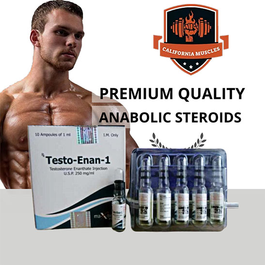 Testo-Enan amp for sale in California