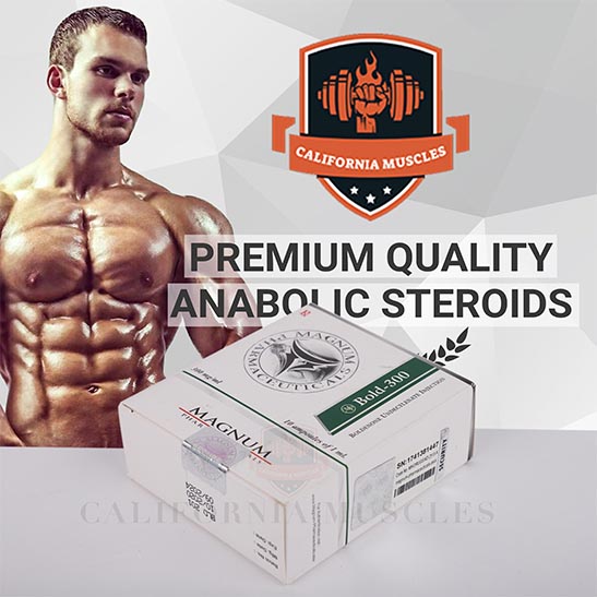 Magnum Bold 300 for sale in california