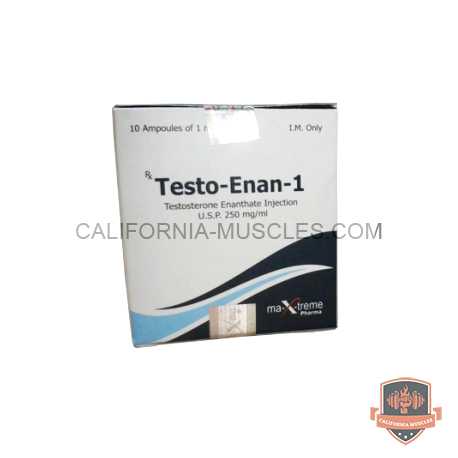 Testo-Enan amp for sale in California