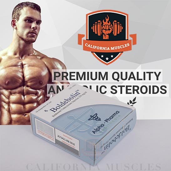 Boldenone Undecylenate